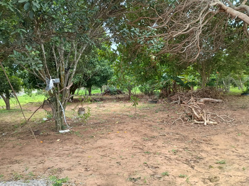 Chácara Com Casa Três Quartos Sala De Estar Cozinha E Dois B