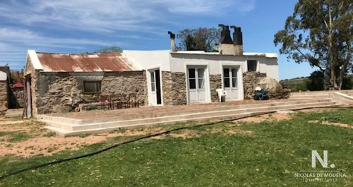Imagen 15 de 28 de Se Vende Campo De 130 Has, En Maldonado