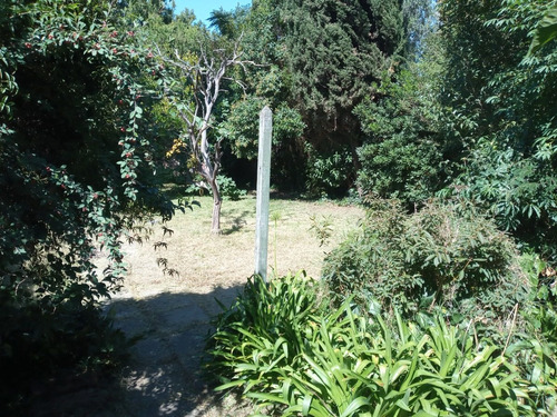Imagen 7 de 12 de Casa Con Lote De 10 X 55, Ideal Para Construcción De Vivienda Multifamiliar