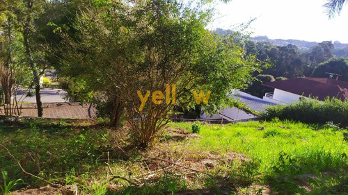 Imagem 13 de 22 de Terreno - Caputera - Te-2651