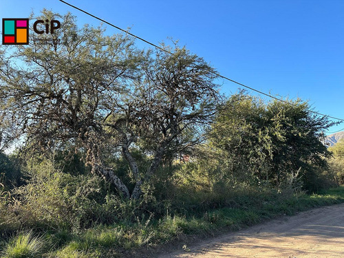 Terreno En Carpinteria