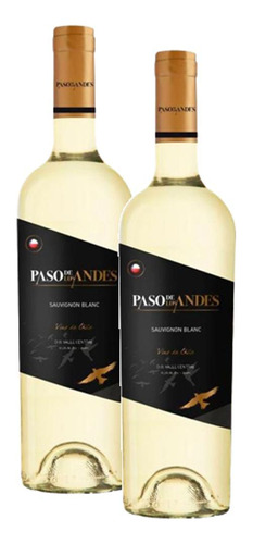 Kit 2 Vinho Paso De Los Andes Sauvignon Blanc 750ml