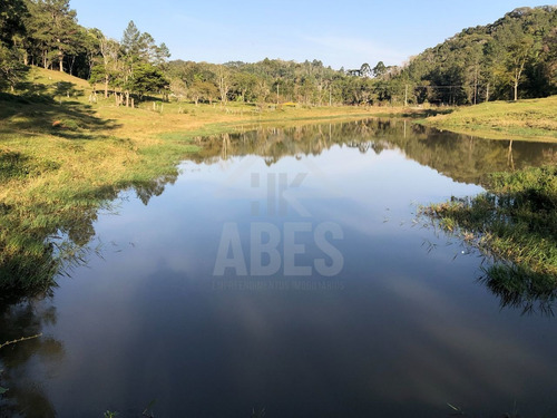 Imagem 1 de 30 de Sitio - St00010 - 69953800