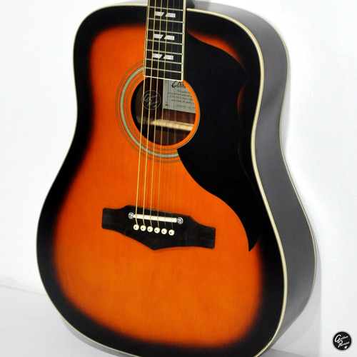 Guitarra Acustica Eko Ranger Vr Vi Profesional + Funda + Pua
