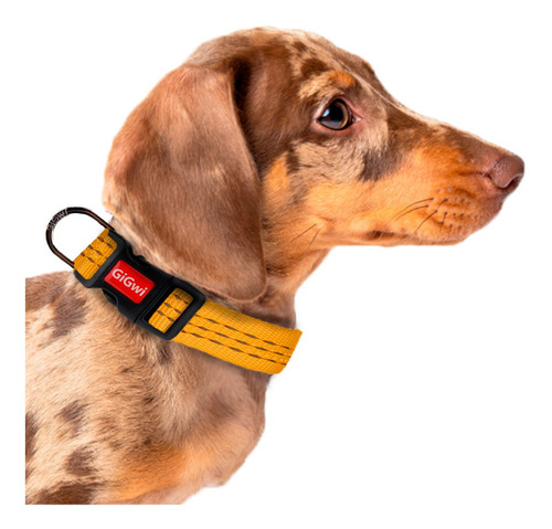 Imagen 3 de 7 de Collares Para Perros Classic Line Confort Calidad