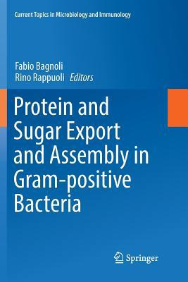 Libro Protein And Sugar Export And Assembly In Gram-posit...