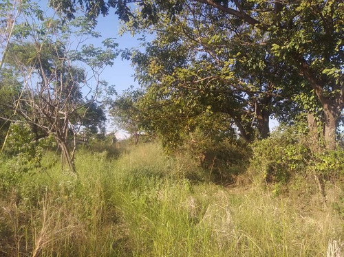 Fany Villasmil Vende Terreno En Cojedes Sector Cascabel