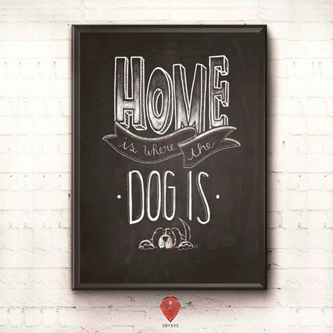 Home Dog - Oferta