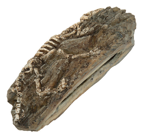 Adorno De Resina Para Acuario Con Diseño De Fósil De Dinosau