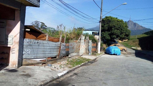 Terreno Residencial À Venda, Jardim Ipanema (zona Oeste), São Paulo. - Te0043