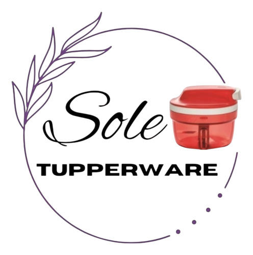 Box 2,5 Lt Coral Y Blanco Tupperware