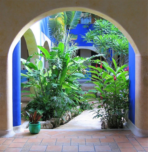 Imagen 3 de 27 de Venta Casa Con Uso De Suelo Merida