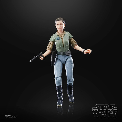 Star Wars Figura Princesa Leia Endor F7051 The Black Series