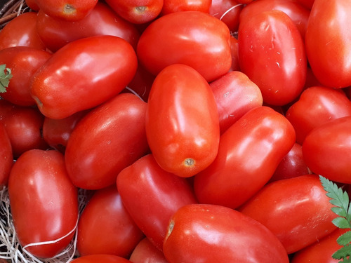 Oferta!! 40 Semillas Tomate Pera 