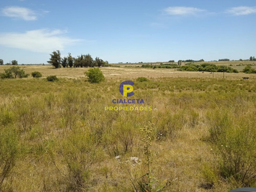 23 Hectáreas En Lavalleja Con Arroyo