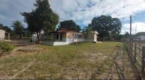 Sitio Com 9.3 Hectares Com Irrigação, Muita Água.