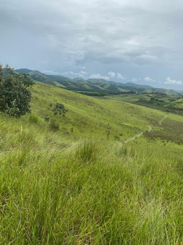 Imagem 24 de 30 de G06-terreno Para Sítios Em Jacareí