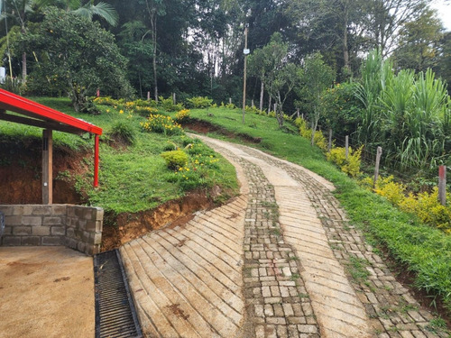 Imagen 20 de 20 de Venta De Finca Cafetera En Jericó Antioquia