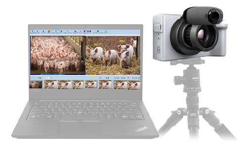 Camara Infrarroja Corporal Temperatura Porcinos Ganado