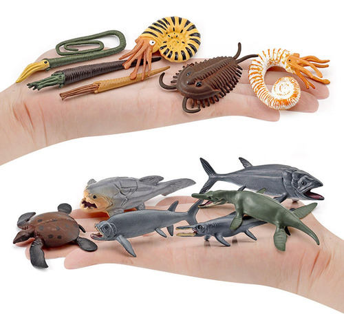 2 X 6 Modelos De Animales Marinos Prehistóricos, Estatuas
