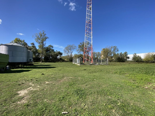 Chacra - Km. 61
