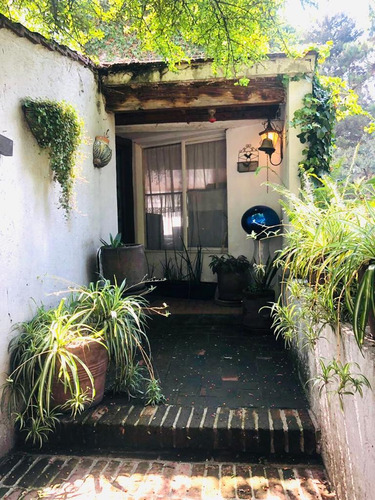 Un Paraiso En La Ciudad!!!