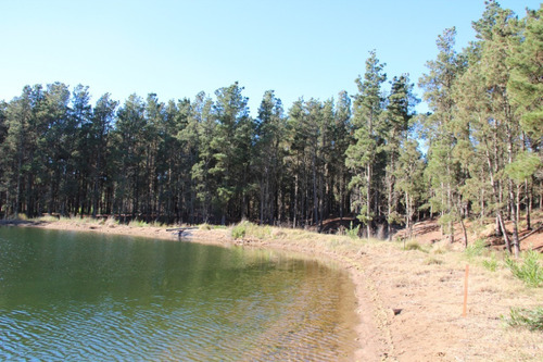 Imagen 17 de 23 de Villarobles Lote 594 Frente A Laguna 2 Retasado!!