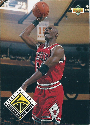 Barajita Michael Jordan Upper Deck 1993 #438 Bulls Chicago