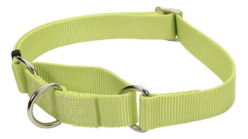 Coastal Sin Resbalon Martingale Collar Ajustable Para P