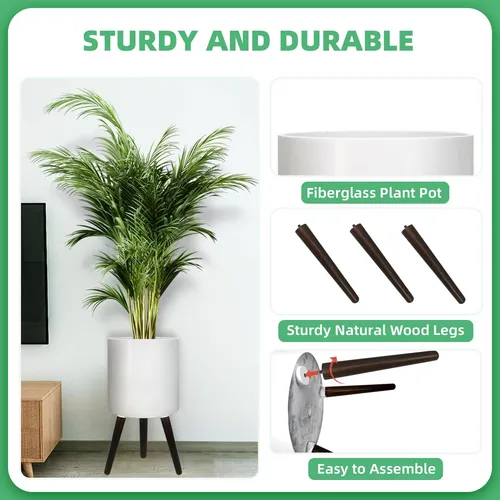 Maceta De 10 Pulgadas Con Patas, Planta Moderna, Con Drenaje