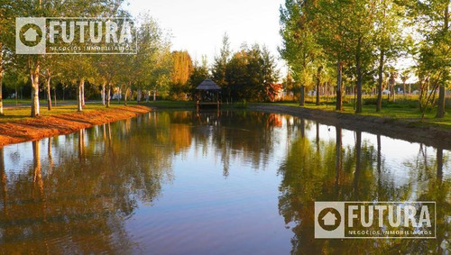 Imagen 10 de 19 de Terreno En Venta En Barrio Privado Pinares Del Sur Lote 63