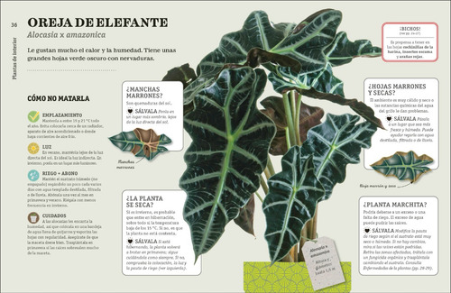 Cómo No Matar Tus Plantas (nueva Edición)