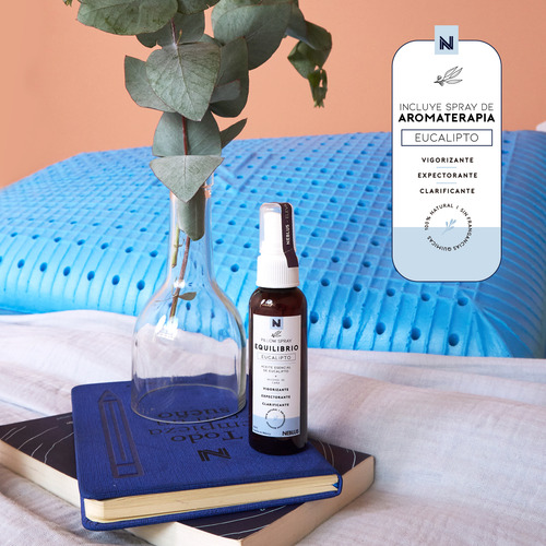 Almohada Biomemory Con Aromaterapia De Eucalipto