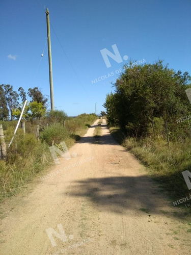 Imagen 3 de 14 de Ruta 104 Zona Ideal Para Vivir Todo El Año - San Carlos Quinta De Medina