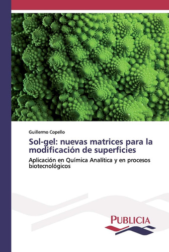 Libro: Sol-gel: Nuevas Matrices Para La Modificación De Supe