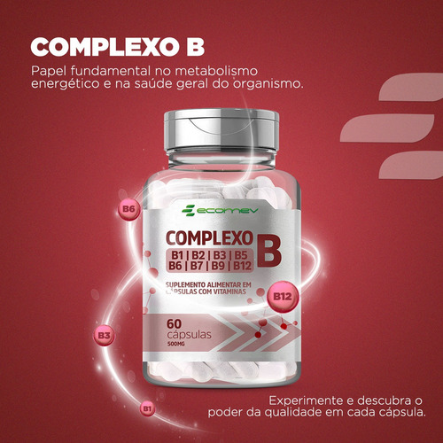 2x Complexo B Puro Com Ácido Fólico Biotina 500mg 120cáps