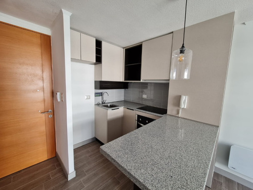 Hermoso Departamento Para Venta En Santiago