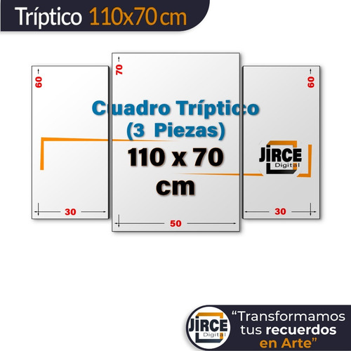 Cuadro Decorativo Moderno Pintura Jd-0092 L Tríptico 110x70 Cm Sin Marco