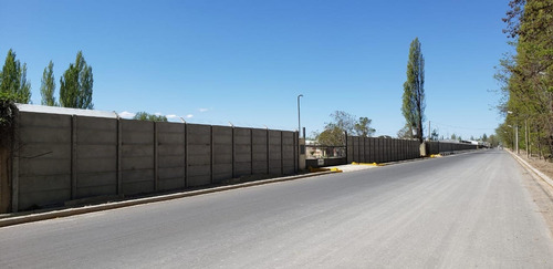 Imagen 7 de 30 de Alquilo Predio 6500 M2 Galpón 1900 M2 300 M2 Oficin Neuquen