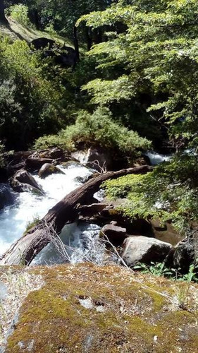Imagen 20 de 28 de Grupo Patagonia Vende 4.2 Hectáreas (todos Los Servicios Instalados Y Costa De Arroyo). Sobre Camino A Valle Escondido -club De Campo-, San Martín De Los Andes, Patagonia Argentina