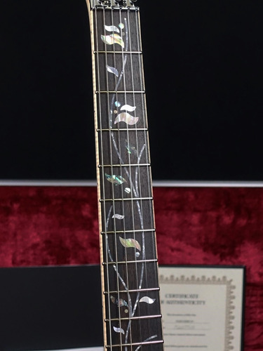 Guitarra Ibanez J.custom Rg8570zme Rg Solo 8 En El Mundo Diestro Nude Macassar Ebony (Usado)