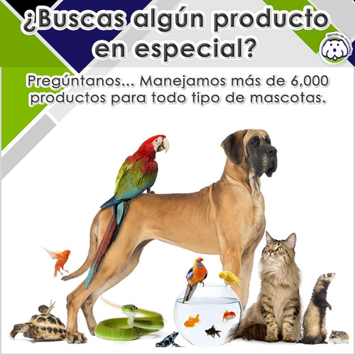 Imagen 5 de 7 de Jaula Para Hamster | Casita Rueda Resbaladilla Bebedero | L