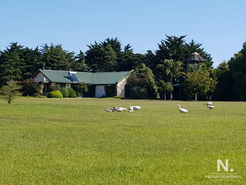 En Venta Chacra De 6hectareas En Jose Ignacio.