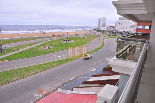 Imagen 29 de 30 de Apartamento En Brava, 3 Dormitorios