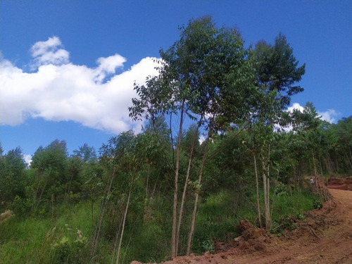 Imagem 4 de 19 de Tm- Lotes Promocionais A Venda, Troco Por Veículo