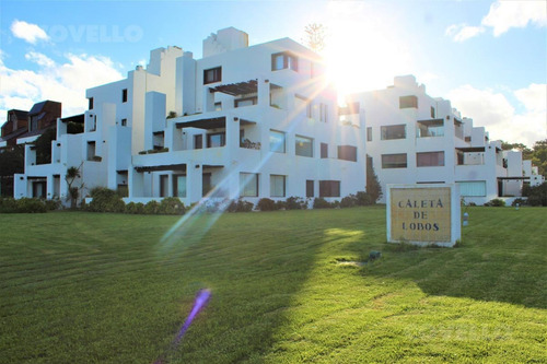 Imagen 17 de 17 de Departamento - Rincón Del Indio