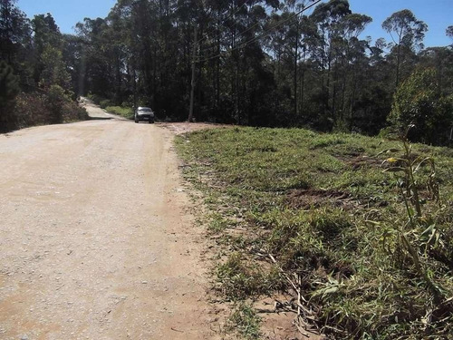 Terreno Em Chácara Recanto Verde, Cotia/sp De 0m² À Venda Por R$ 250.000,00 - Te894768
