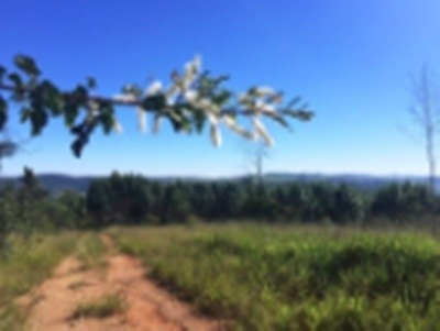 Imagem 1 de 5 de Fazenda Ótima Localização Itatiba - Sp - Jardim Das Nações - V4320