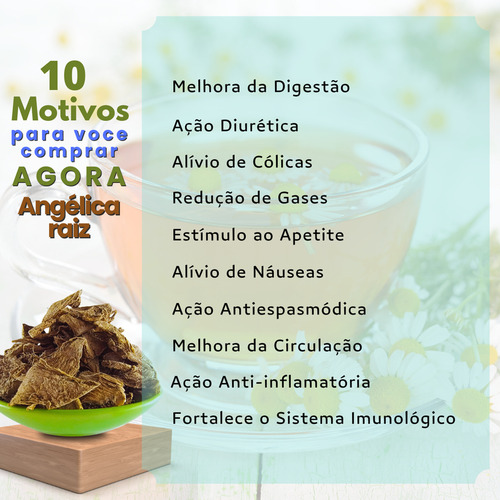 Angélica Raiz Para Chá - 100% Natural-50g