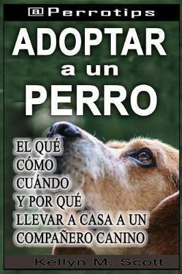 Perrotips  Adoptar Un Perro  Kellyn M Scottaqwe